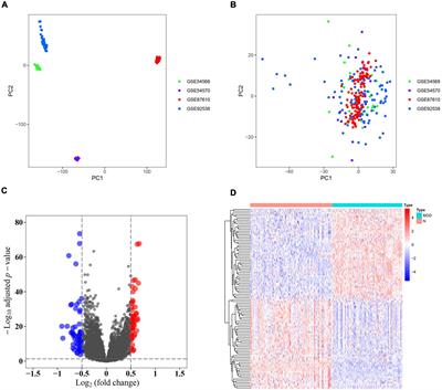 General Transcription Factor IIF Polypeptide 2: A Novel Therapeutic Target for Depression Identified Using an Integrated Bioinformatic Analysis